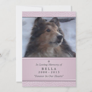 Anúncio Pet Memorial Card 5"x7" Moderno cor-de-rosa - Pet