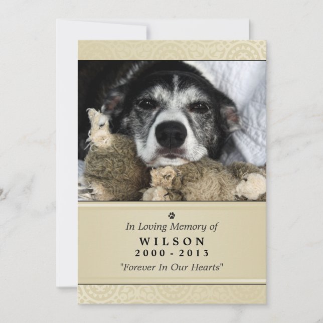 Anúncio Pet Memorial Card 5"x7" Moderno Creme - Pet Mascul (Frente)
