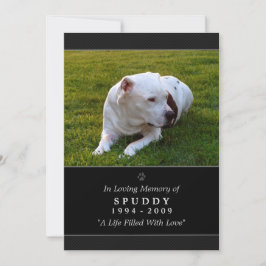 Anúncio Pet Memorial Card 5 x 7 Preto Foto: Oração de Pet