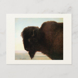 Anúncio Pintura de Buffalo Head Art Albert Bierstadt