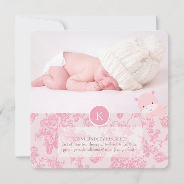 Anúncio PixDezines, cor-de-rosa, hipopótamo (Frente)