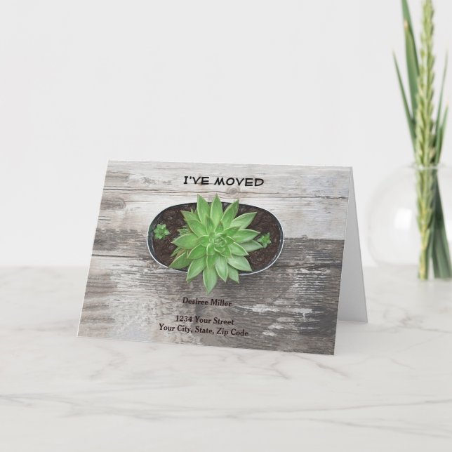 Anúncio Planta Suculente Movi Novo Endereço (Frente)