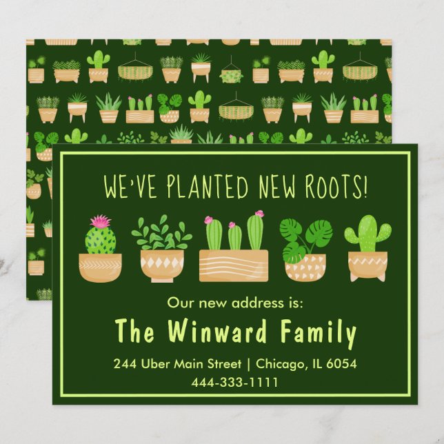 Anúncio Plantações da Casa Cactus Dark Green - Novo Lar (Frente/Verso)