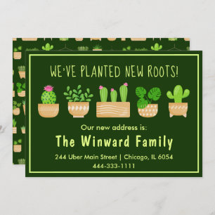 Anúncio Plantações da Casa Cactus Dark Green - Novo Lar