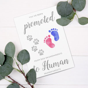 Anúncio Promoted From Dog New Grandparents Pregnancy