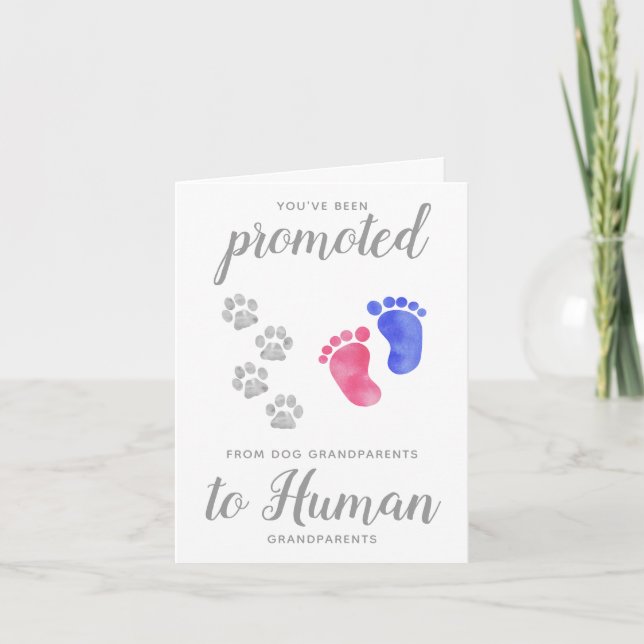 Anúncio Promovido a Gravidez dos Avós Cachorros (Frente)