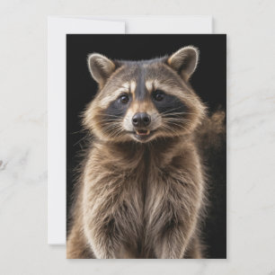 Anúncio Raccoon Wild Animal Elegante Dramático Retrato de 
