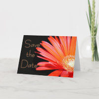Red Orange Gerbera Daisy Salvar a data
