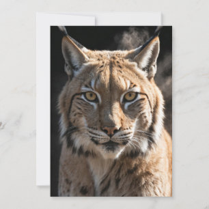 Anúncio Retrato Dramático Dramático Elegante Animal Selvag