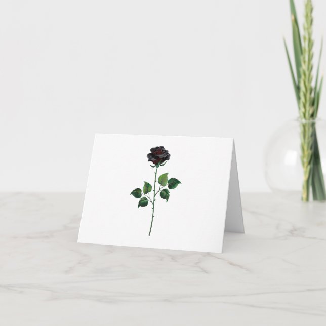 Anúncio Rosa preto (Frente)