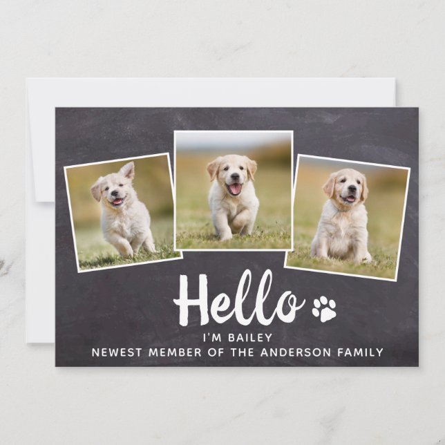 Anúncio Rustic Hello Photo Collage Puppy Dog New Pet (Frente)
