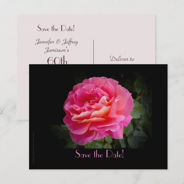 Anúncio Salvar a Data Cartão Postal Rosa Festa de 60º Aniv (Frente/Verso)