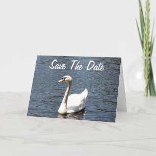 Anúncio Salvar o swan branco Date