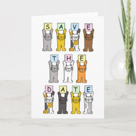 Anúncio Salvar os Gatos de Cuta de Data