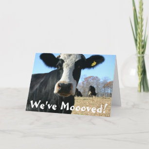 Anúncio Santa Vaca Mover