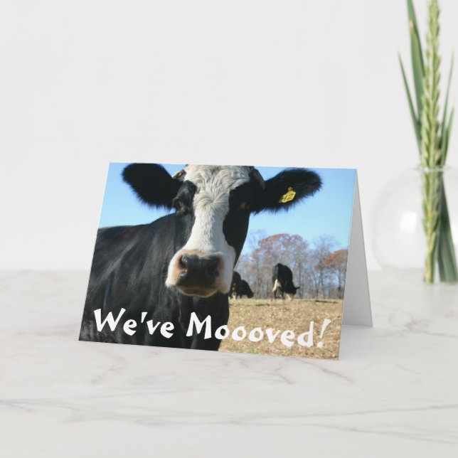 Anúncio Santa Vaca Mover (Frente)