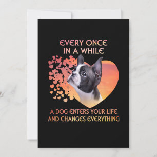 Anúncio Toda Vez Que Um Cão Entra Em Sua Vida Boston