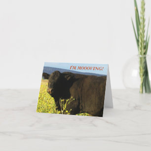 Anúncio Touro Negro em Flores - Mudança Ocidental de Ender