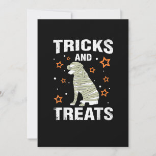Anúncio Tratamentos _ Truques Rottweiler Figurume de Hallo