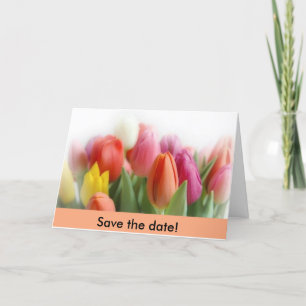 Anúncio tulipas multicolor  Salve a data!