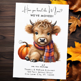 Anúncio Vaca Highland Novo Endereço que Mudamos de Outono