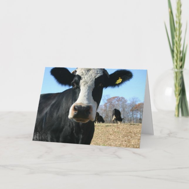 Anúncio Vaca Sagrada Nós nos Mudamos (Frente)
