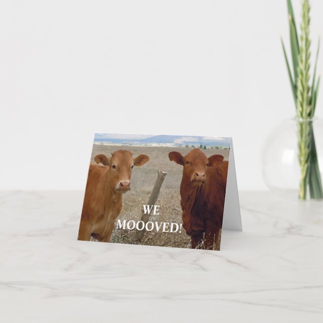 Anúncio Vacas Vermelhas - Mudança Ocidental de Endereço (Frente)