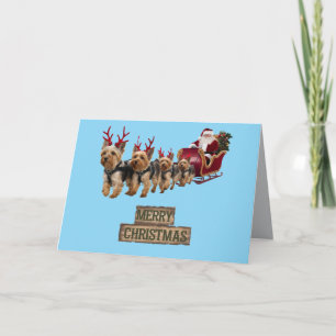 Anúncio Yorkie Christmas Sleigh