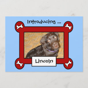 Anúncios da adopção ou do nascimento do cão