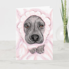 Anúncios da Garota Negra do Grande Dane