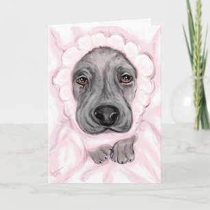 Anúncios da Garota Negra do Grande Dane