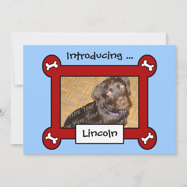 Anúncios de Adoção ou Nascimento de Cães (Vermelho (Frente)