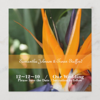 Anúncios de Casamento de Ave do Paraíso Tropical