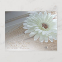 Anúncios de casamento White Daisy Save The Date