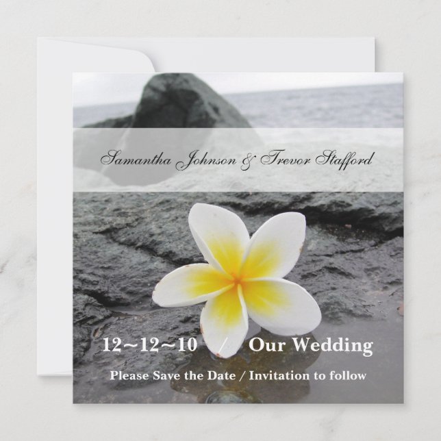 anúncios de Frangipani Casamento Salve a Data (Frente)