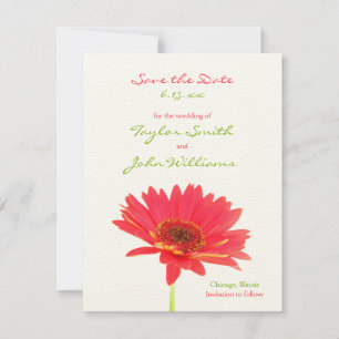 Anúncios de Gerbera Daisy para Salvar a Data