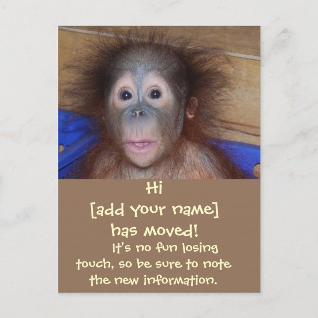 Anúncios de Mudança Carinha Linda (Frente)