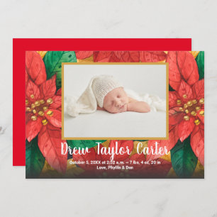 Anúncios de Natal em Poinsettias Baby Photo Birth