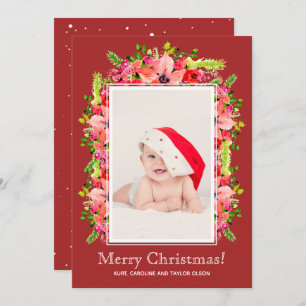 Anúncios de Natal em Poinsettias Foto de Nasciment