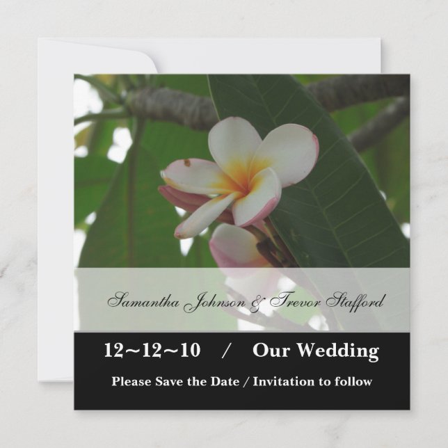 anúncios de Save the Date de casamento de Frangipa (Frente)