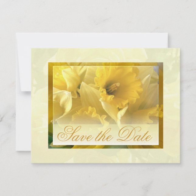 Anúncios Narciso (Frente)