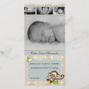 Anúncios novos do nascimento do bebê do macaco de