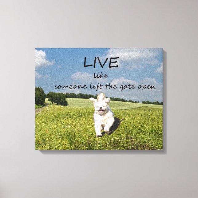 Ao vivo como alguém deixou a Poster de Canvas Aber (Frente)