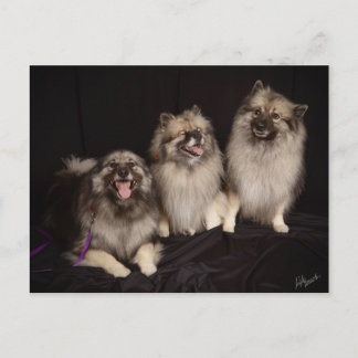 Apache conta um cartão postal de Piada