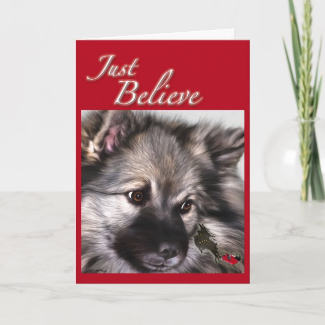 "Apenas acredite" o cartão de Natal do Keeshond (Frente)