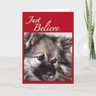 "Apenas acredite" o cartão de Natal do Keeshond