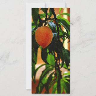Apenas Peachy