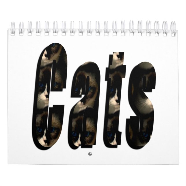 Apenas Pelo Amor Dos Gatos, Calendário (Capa)