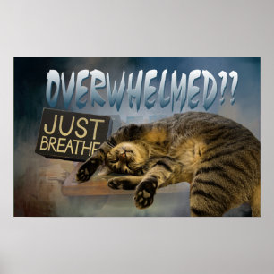 apenas respire o poster 23