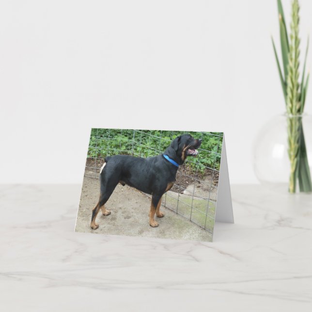 Apollo: Cartão de Saudação Rottweiler (Frente)